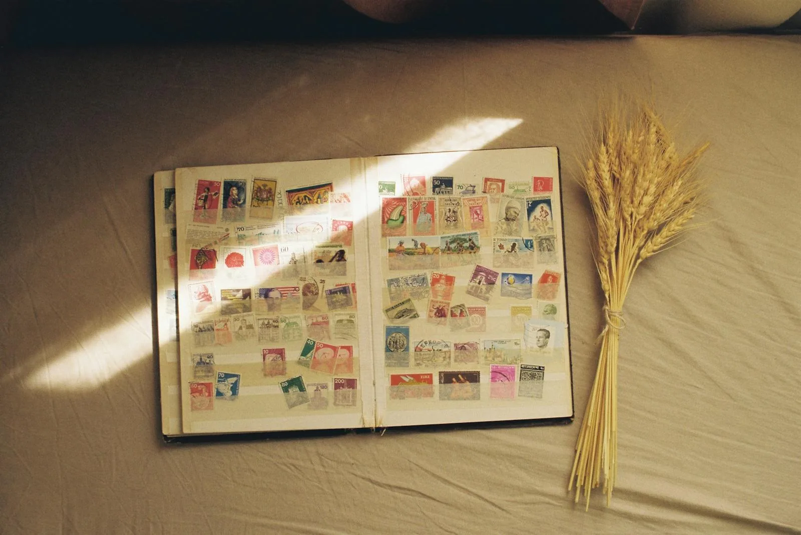 Open vintage stamp album with a bundle of wheat in warm sunlight