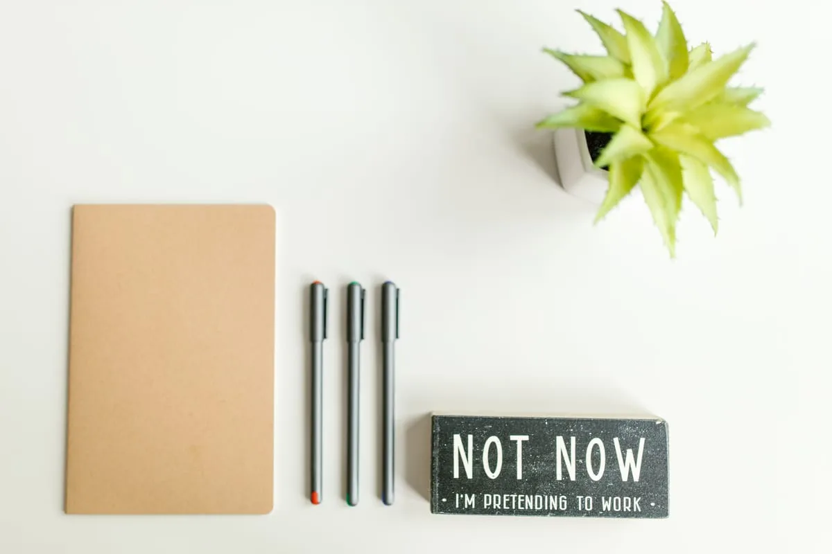 Clean minimal workspace with a notebook and plant
