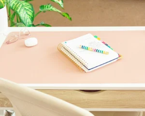 Spiral student planner with colorful tab dividers on a pink desk beside glasses and a plant