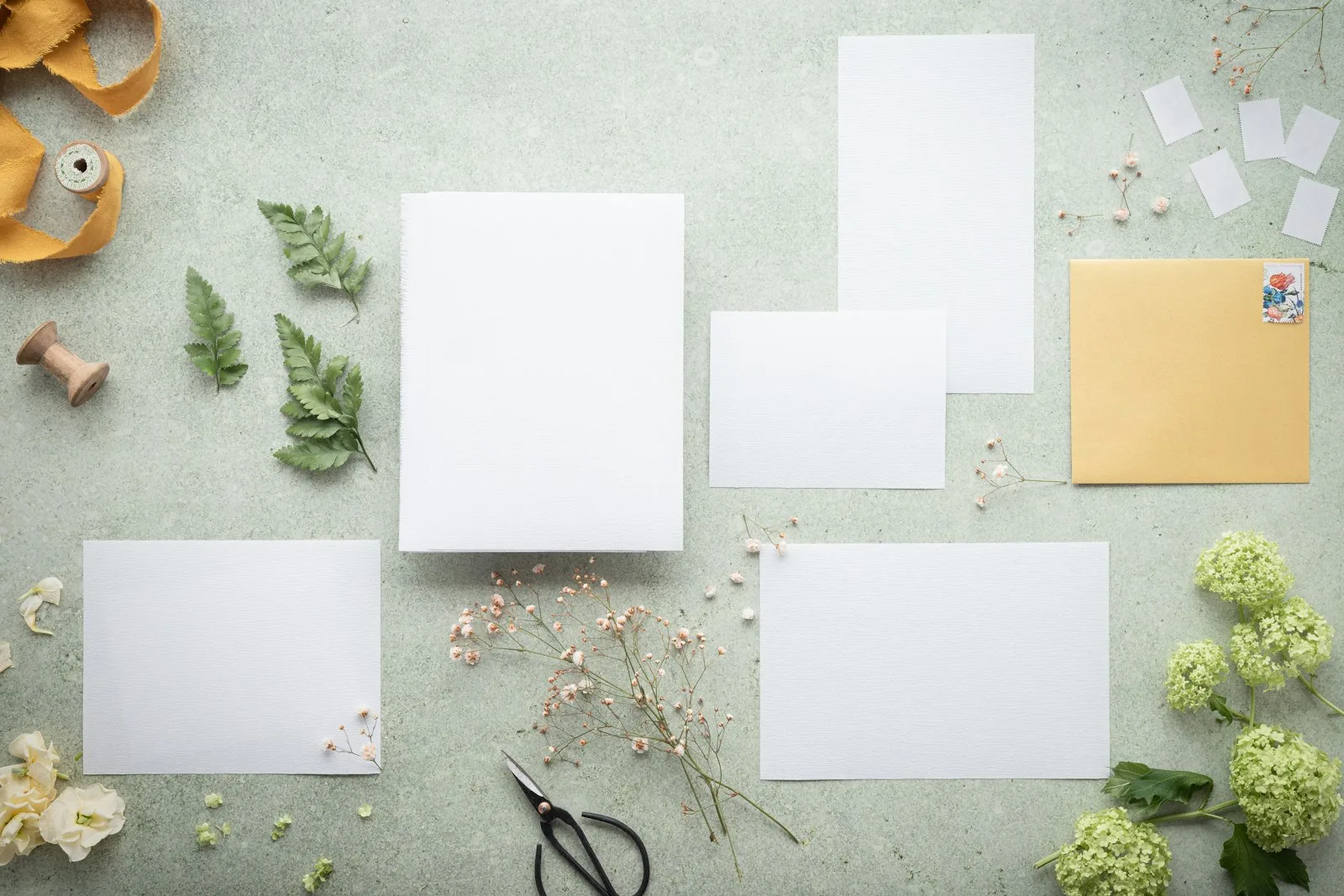 Vision board kit contents flatlay: blank cards, scissors, dried botanicals on a soft sage background