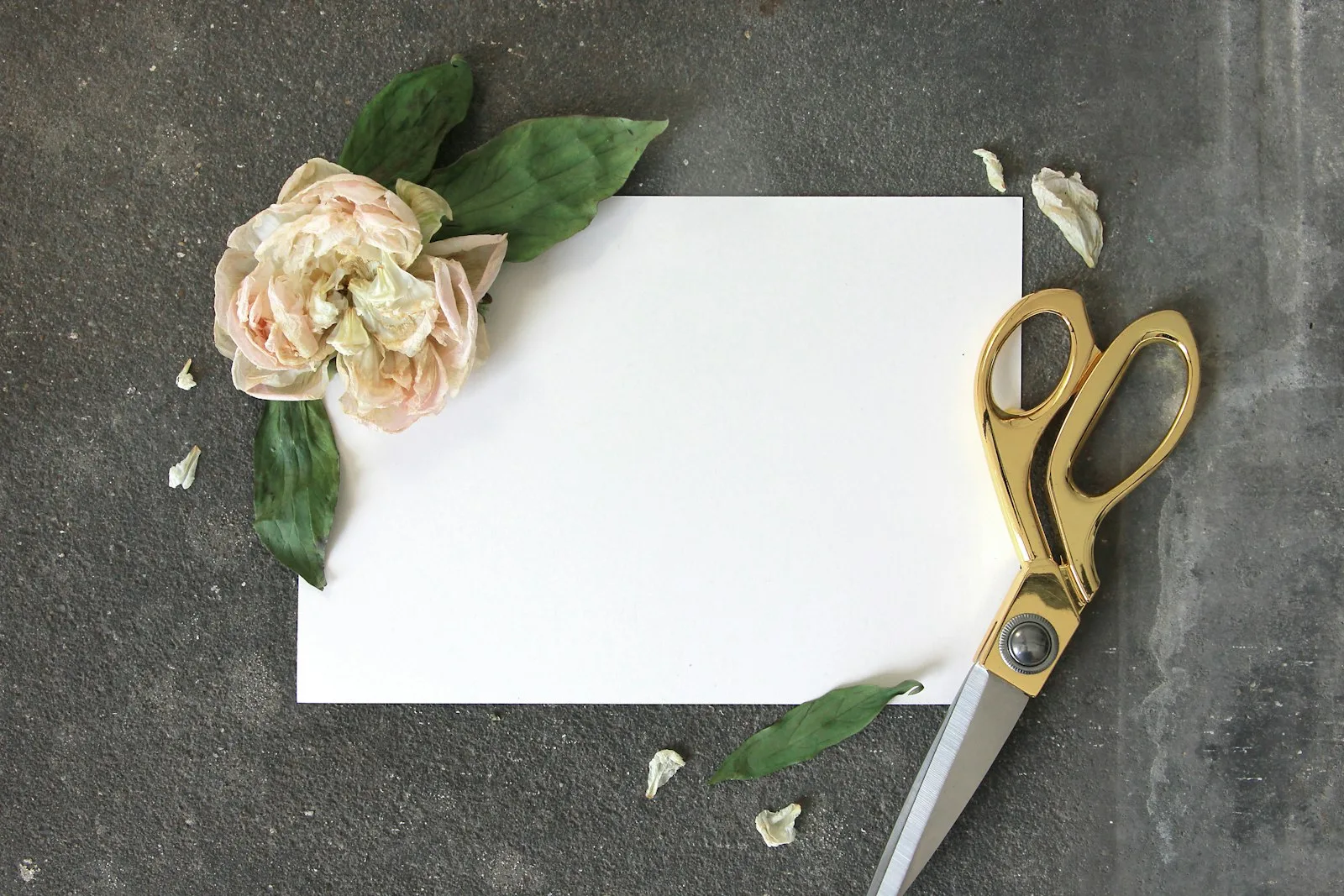 Wedding scrapbook flatlay with a card, dried flowers, and gold scissors