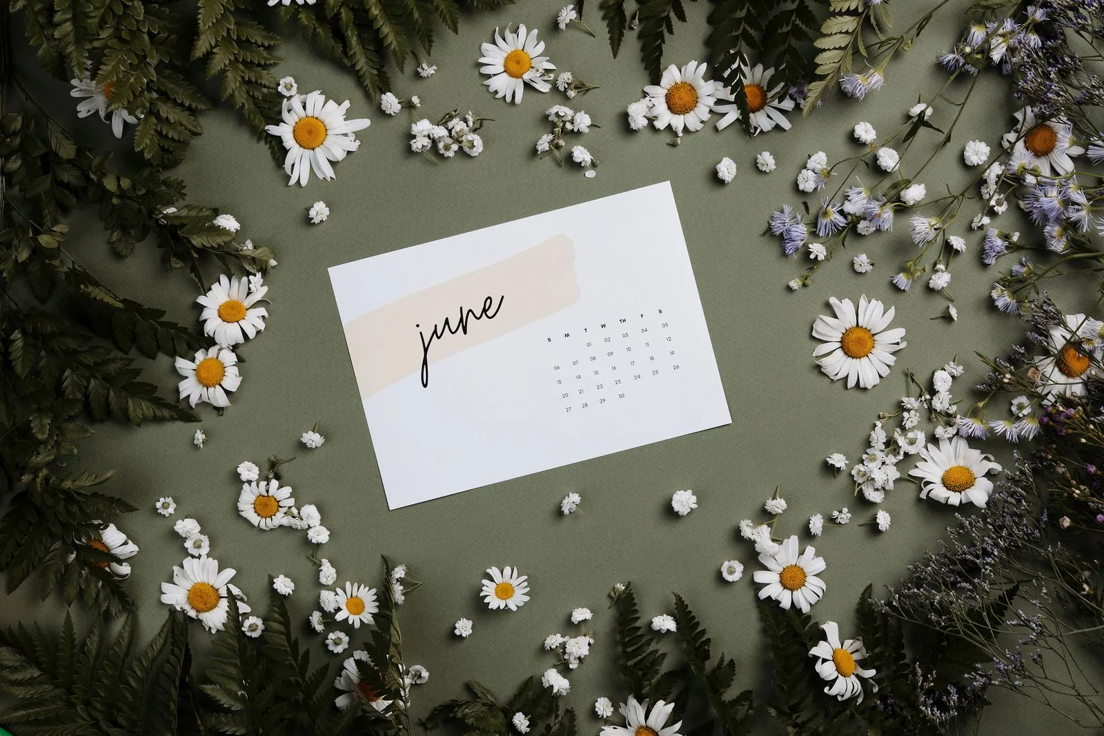 A printed June calendar page on a green table surrounded by daisies